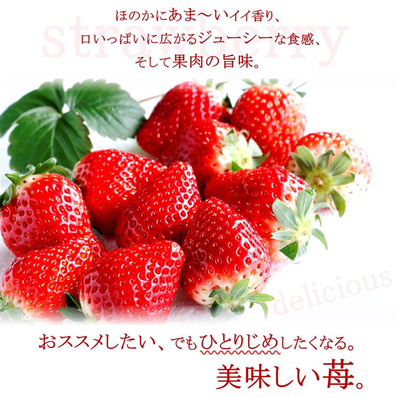 【2026年先行予約】【栃木県共通返礼品】日本一のいちご生産量を誇るJAはが野が厳選とちあいか平パック2P | 送料無料 いちご フルーツ 甘い ジューシー かき氷 苺 ｲﾁｺﾞ ハート ハート型 ﾊｰﾄ 断面 果物 栃木県 下野市