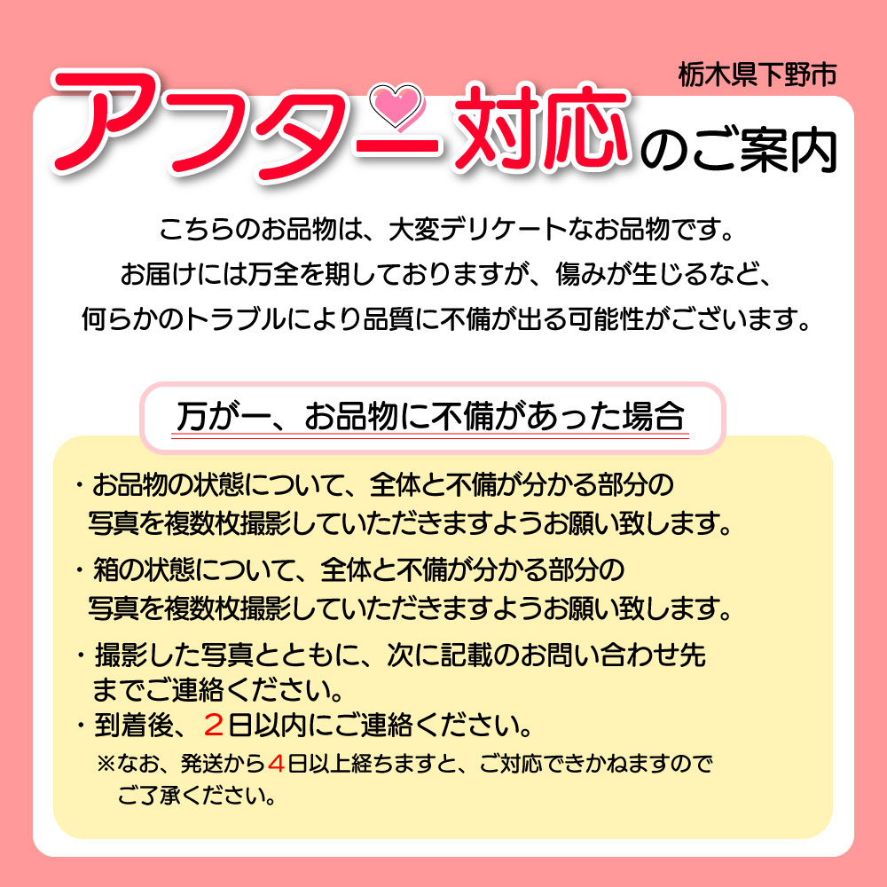 【2026年先行予約】【栃木県共通返礼品】日本一のいちご生産量を誇るJAはが野が厳選とちあいか平パック6P | 送料無料 いちご フルーツ 甘い ジューシー かき氷 苺 ｲﾁｺﾞ ハート ハート型 ﾊｰﾄ 断面 果物 栃木県 下野市