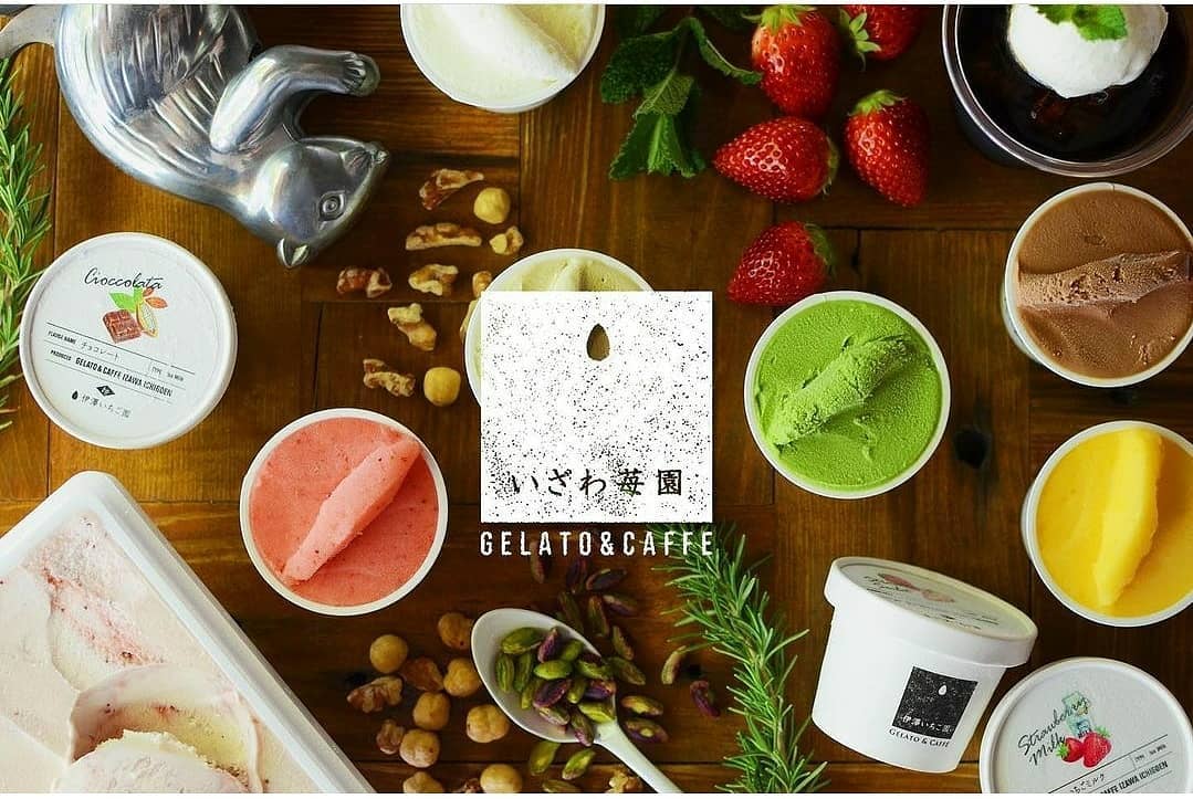 【下野ブランド】ジェラート アソート 8個セット  | アイスクリーム シャーベット お菓子 スイーツ 栃木県 特産品 下野市 しもつけ市