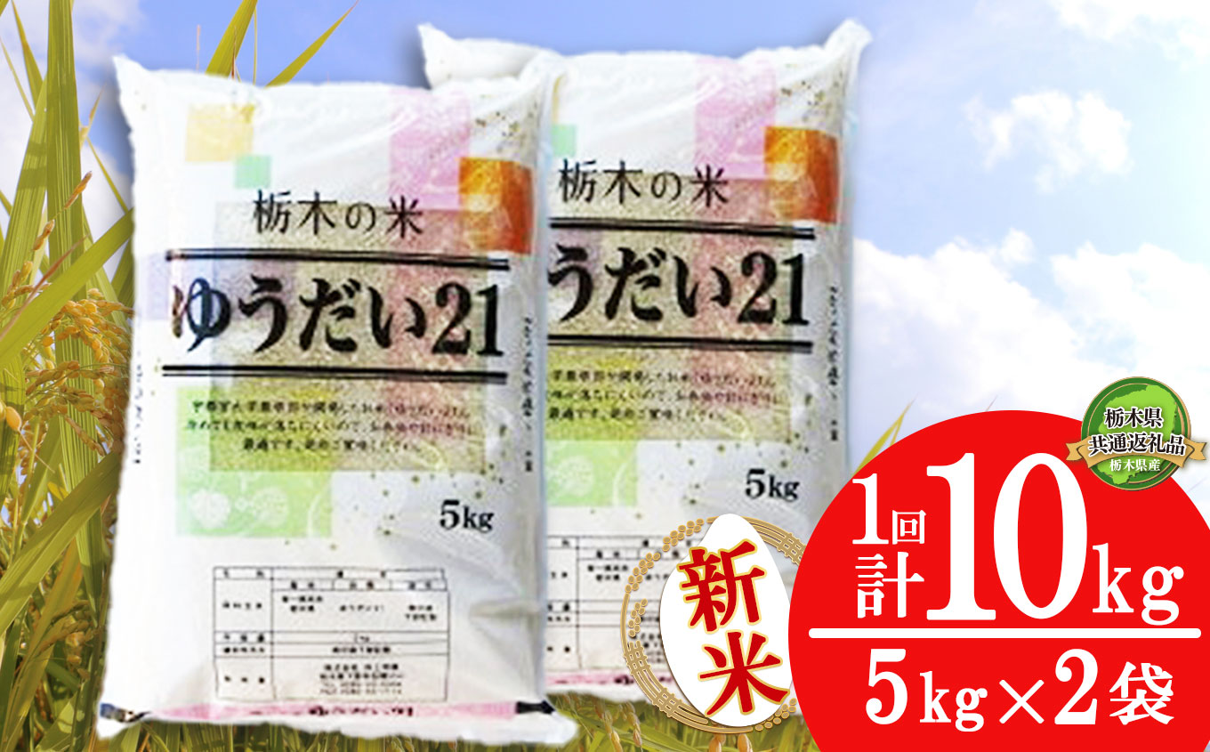 栃木県産 ゆうだい21 10kg | 5kg小分け 新米 米 お米 こめ コメ ゆうだい ユウダイ 精米 白米 特A 人気 お買い得 送料無料 限定 栃木県共通返礼品 令和7年産 栃木県産 栃木県 下野市