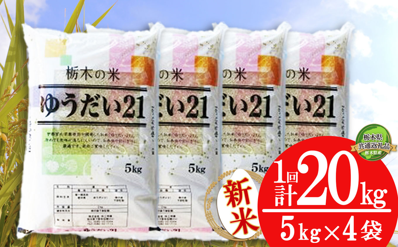 栃木県産 ゆうだい21 20kg | 5kg小分け 新米 米 お米 こめ コメ ゆうだい ユウダイ 精米 白米 特A 人気 お買い得 送料無料 限定 栃木県共通返礼品 令和7年産 栃木県産 栃木県 下野市