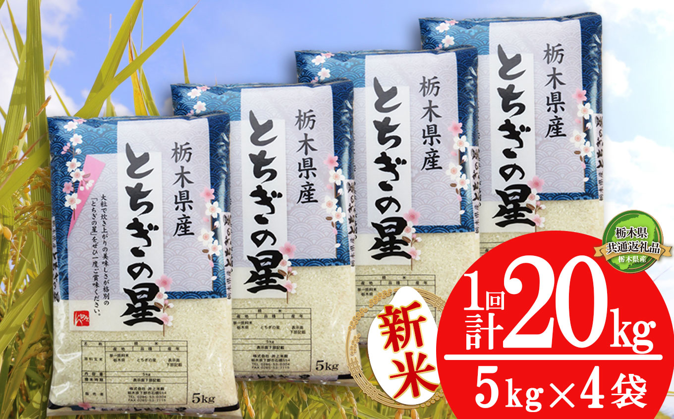 栃木県産 とちぎの星 20kg | 5kg小分け 新米 米 お米 こめ コメ とちぎのほし 精米 白米 特A 人気 お買い得 送料無料 限定 栃木県共通返礼品 令和7年産 栃木県産 栃木県 下野市