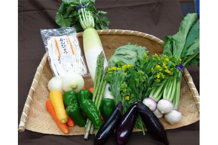 下野市産 かんぴょう＆野菜の詰め合わせセット かんぴょう約50gと季節の野菜 | 野菜 やさい 詰め合わせ かんぴょう セット 栃木県 特産品 下野市 しもつけ市