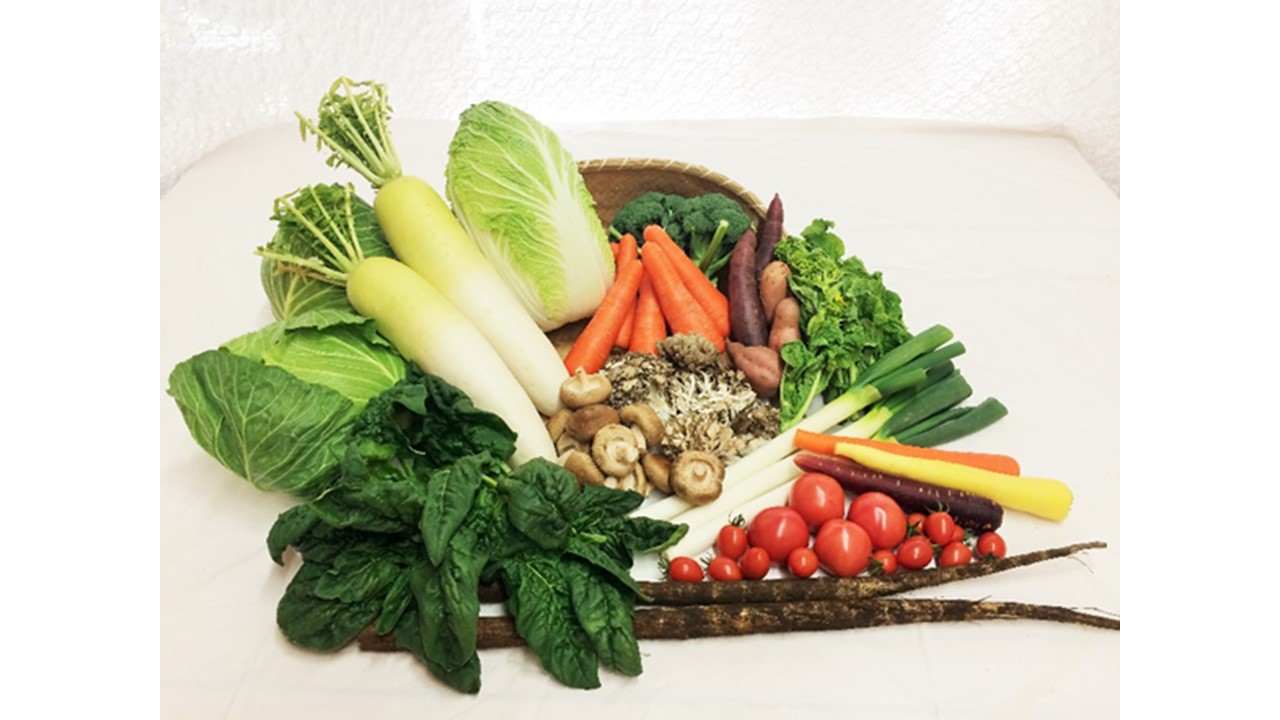 下野市産 季節の 野菜 詰め合わせ  | 野菜 詰め合わせ セット 新鮮 栃木県 特産品 下野市 しもつけ市