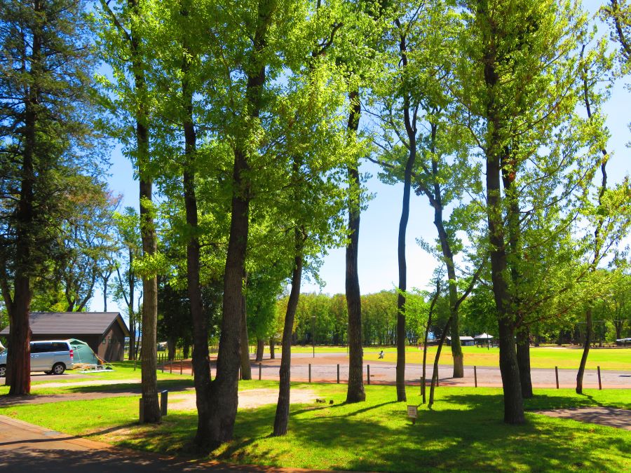 三王山ふれあい公園「オートキャンプ場　一般サイト」1泊2日コース  | チケット 宿泊券 アウトドア キャンプ 栃木県 特産品 下野市 しもつけ市