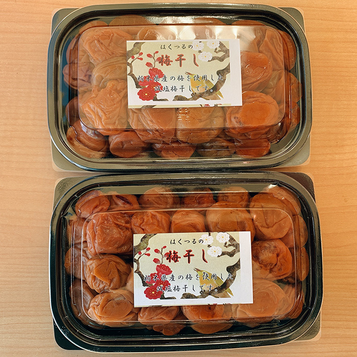 【 栃木県産 】梅干し 約300g×2 | 梅 梅干し 減塩 手摘み 天然 天日干し 手作り 塩漬け  栃木県 しもつけ市 下野市