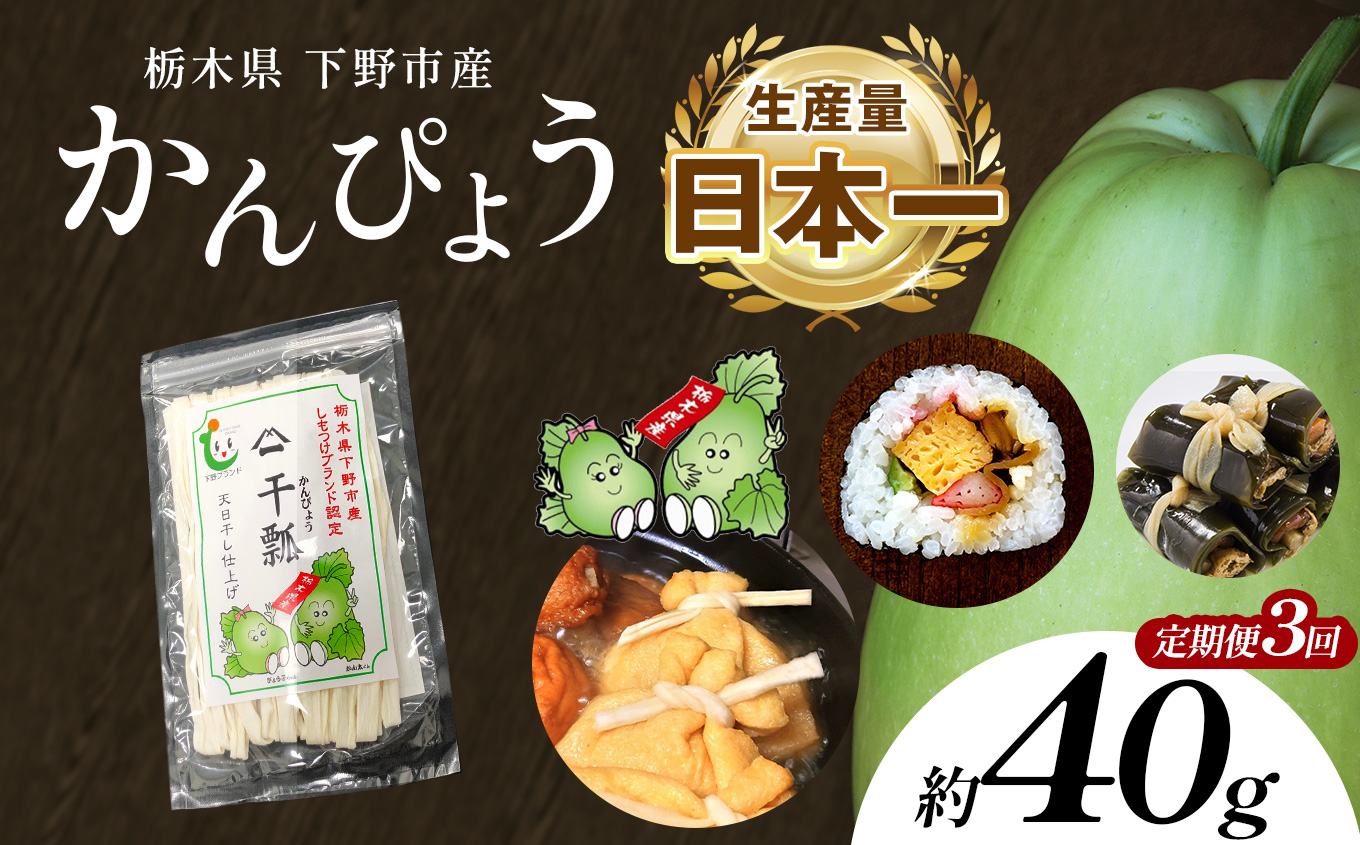 【定期便３回】下野ブランド 下野市産かんぴょう 約40g×1袋 | 干瓢 野菜 乾物 栃木県 特産品