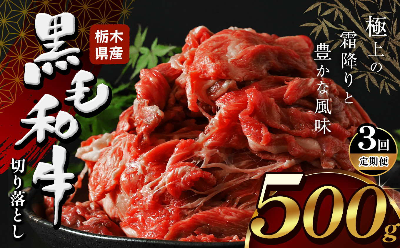 【定期便3回】栃木県産黒毛和牛切り落とし500g