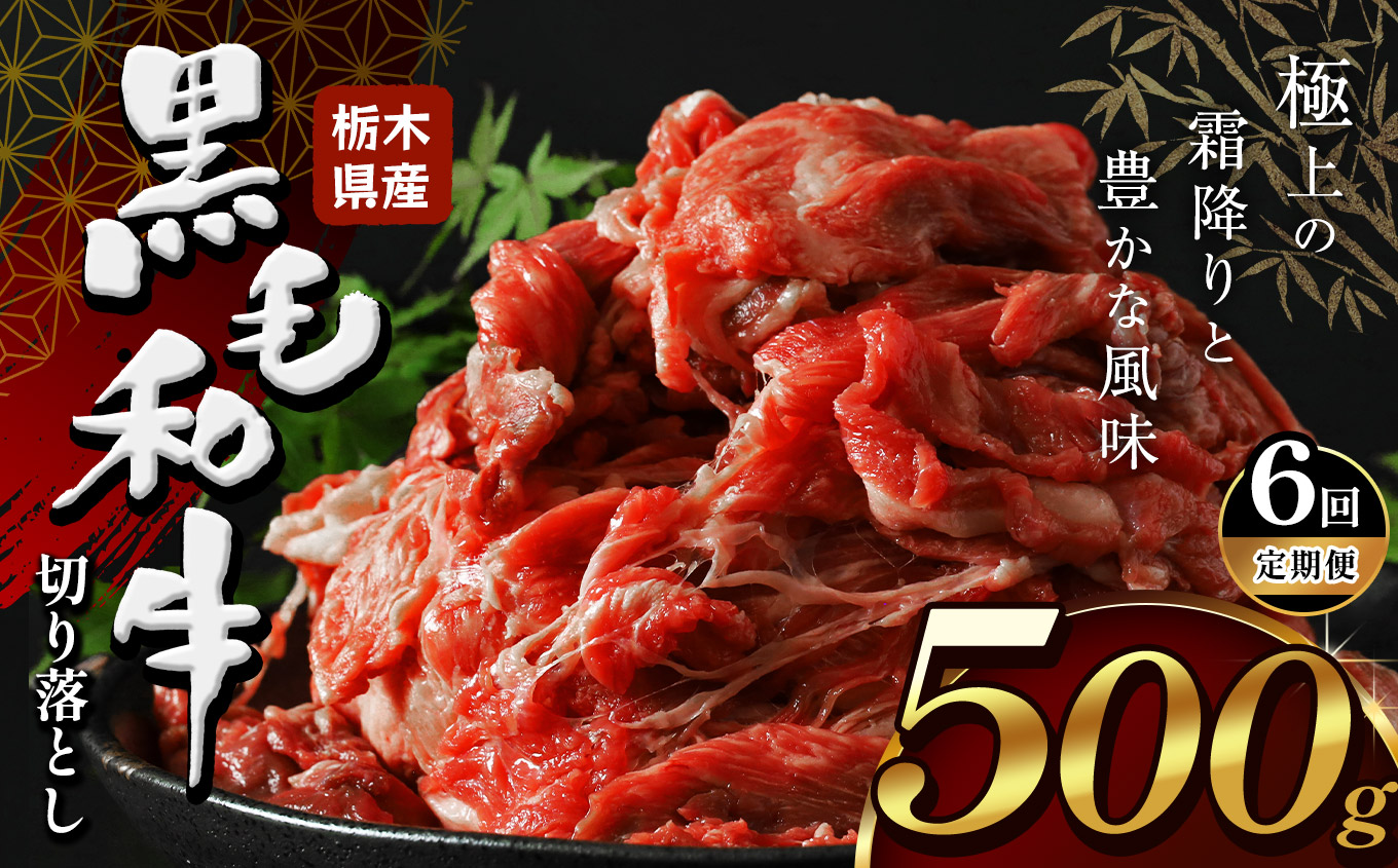 【定期便6回】栃木県産黒毛和牛切り落とし500g