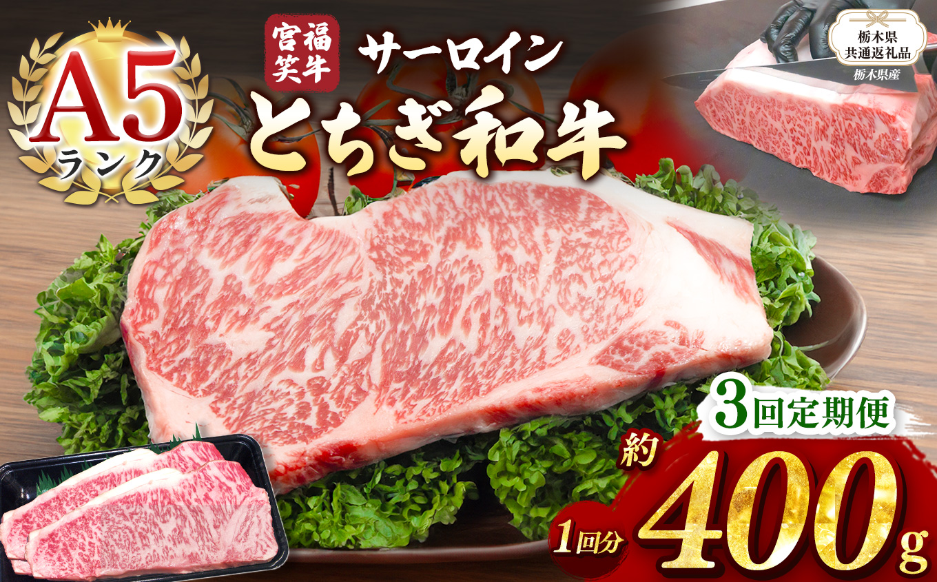 【栃木県共通返礼品】【定期便3回】宮福笑牛(とちぎ和牛) A5 サーロインステーキ　約200gx2枚  | 黒毛 和牛 牛肉 焼肉 とろける 霜降り 赤身 切り落とし ふるさと 納税 イチオシ おすすめ 栃木県 下野市 しもつけ市