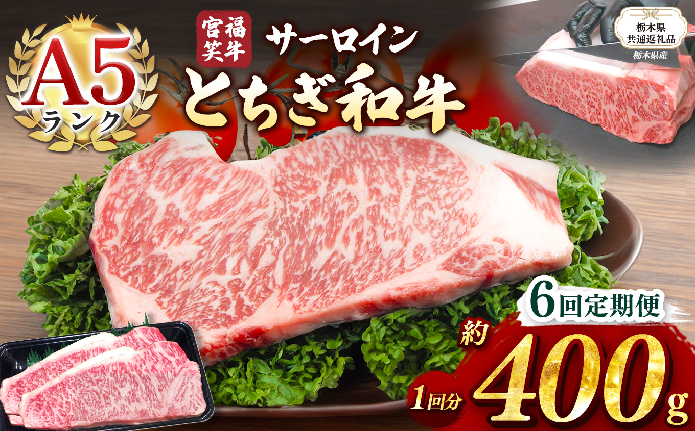 【栃木県共通返礼品】【定期便6回】宮福笑牛(とちぎ和牛) A5 サーロインステーキ　約200gx2枚  | 黒毛 和牛 牛肉 焼肉 とろける 霜降り 赤身 切り落とし ふるさと 納税 イチオシ おすすめ 栃木県 下野市 しもつけ市