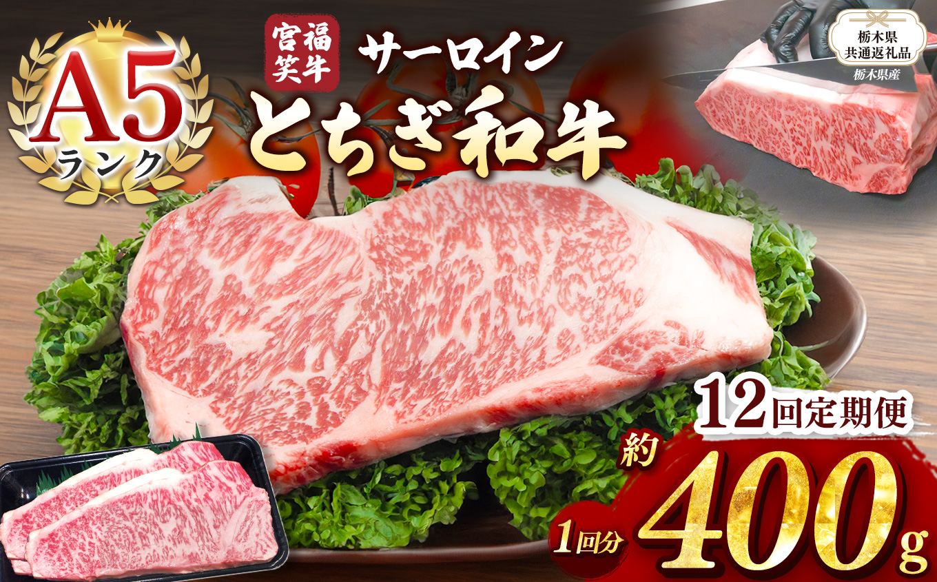 【栃木県共通返礼品】【定期便12回】宮福笑牛(とちぎ和牛) A5 サーロインステーキ　約200gx2枚  | 黒毛 和牛 牛肉 焼肉 とろける 霜降り 赤身 切り落とし ふるさと 納税 イチオシ おすすめ 栃木県 下野市 しもつけ市