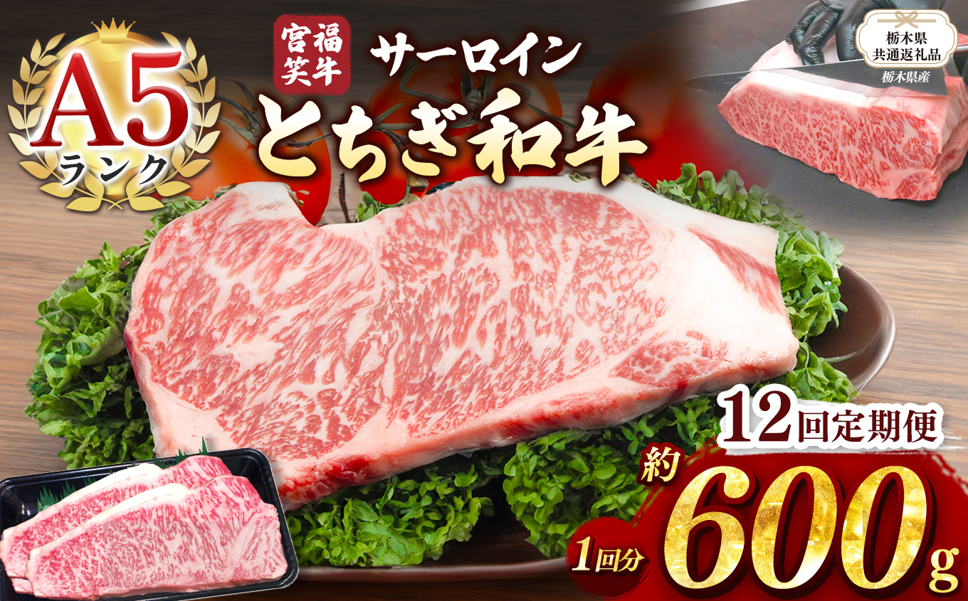 【栃木県共通返礼品】【定期便12回】宮福笑牛(とちぎ和牛) A5 サーロインステーキ　約200gx3枚  | 黒毛 和牛 牛肉 焼肉 とろける 霜降り 赤身 切り落とし ふるさと 納税 イチオシ おすすめ 栃木県 下野市 しもつけ市