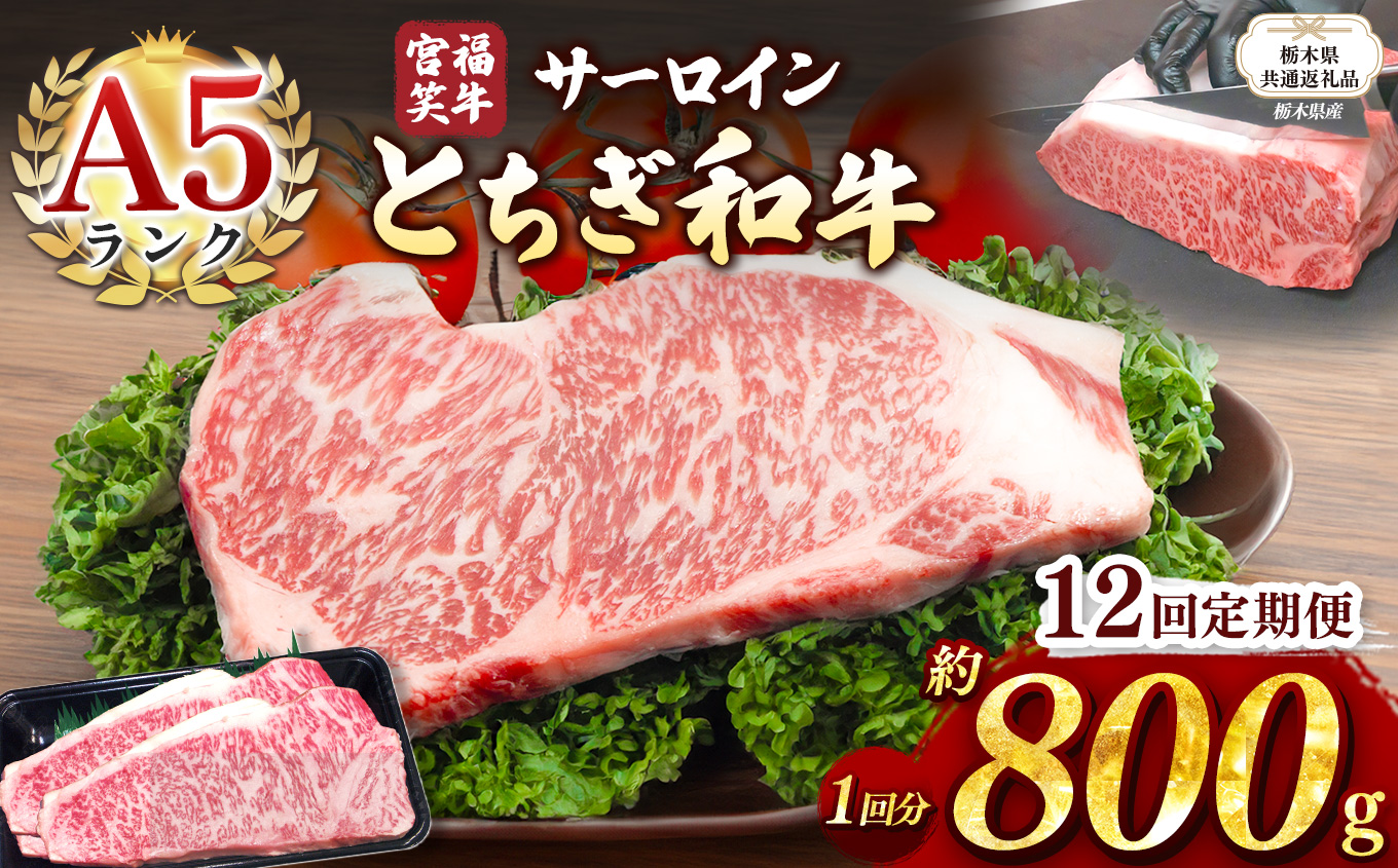 【栃木県共通返礼品】【定期便12回】宮福笑牛(とちぎ和牛) A5 サーロインステーキ　約200gx4枚  | 黒毛 和牛 牛肉 焼肉 とろける 霜降り 赤身 切り落とし ふるさと 納税 イチオシ おすすめ 栃木県 下野市 しもつけ市