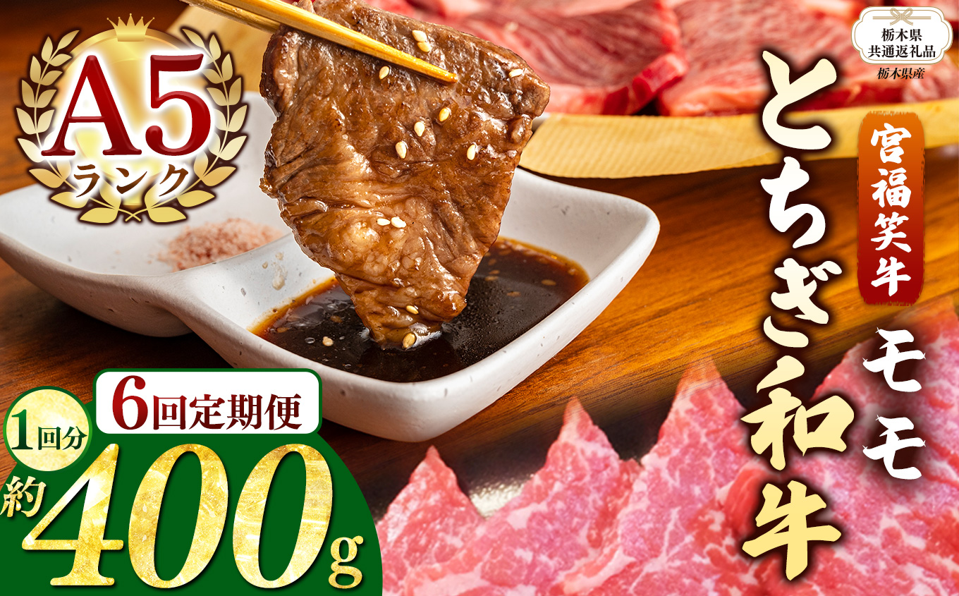 【栃木県共通返礼品】【定期便6回】宮福笑牛(とちぎ和牛) A5 モモ焼き肉 約400g  | 黒毛 和牛 牛肉 焼肉 とろける 霜降り 赤身 切り落とし ふるさと 納税 イチオシ おすすめ 栃木県 下野市 しもつけ市