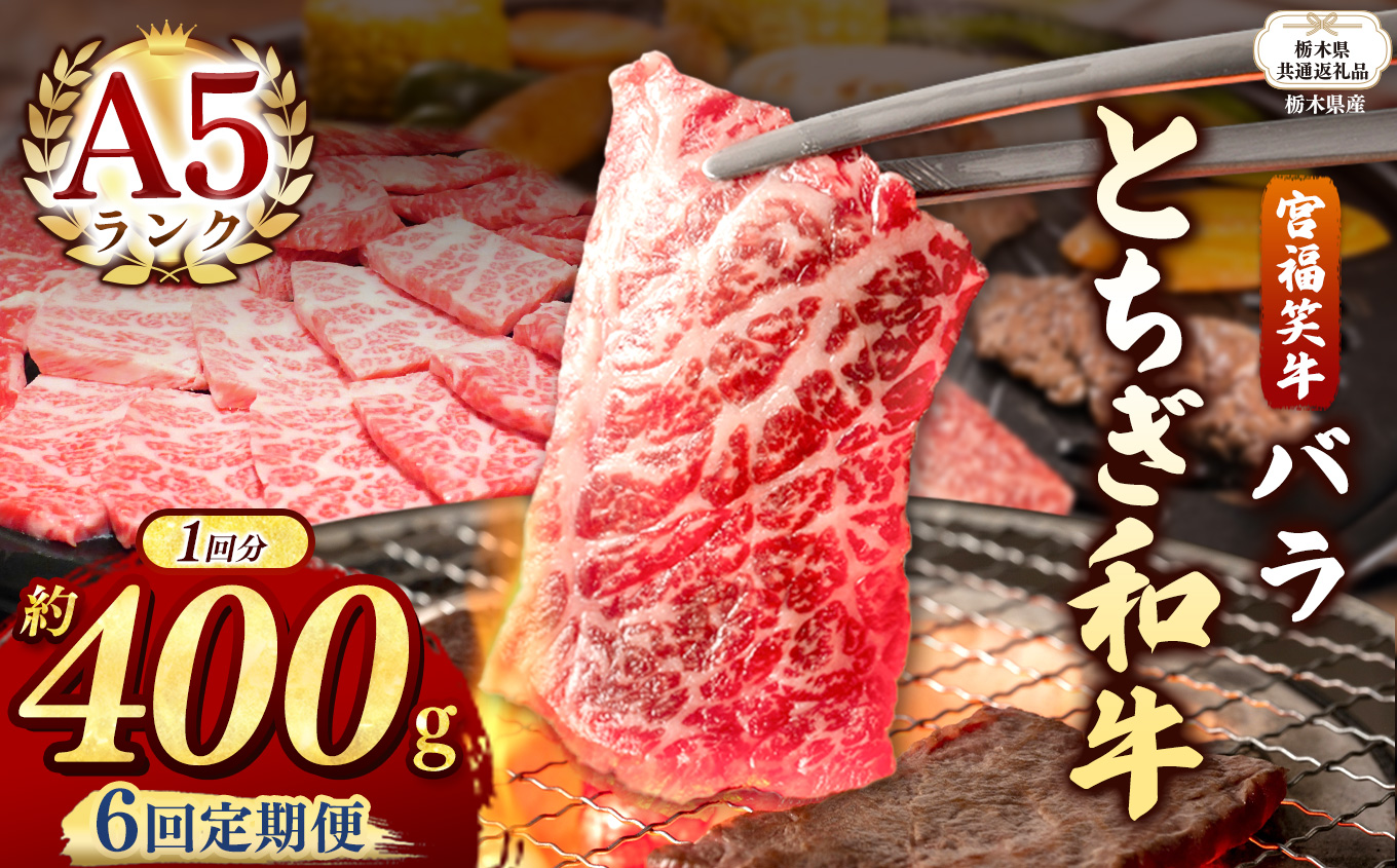【栃木県共通返礼品】【定期便6回】宮福笑牛(とちぎ和牛) A5 バラ焼き肉 約400g  | 黒毛 和牛 牛肉 焼肉 とろける 霜降り 赤身 切り落とし ふるさと 納税 イチオシ おすすめ 栃木県 下野市 しもつけ市
