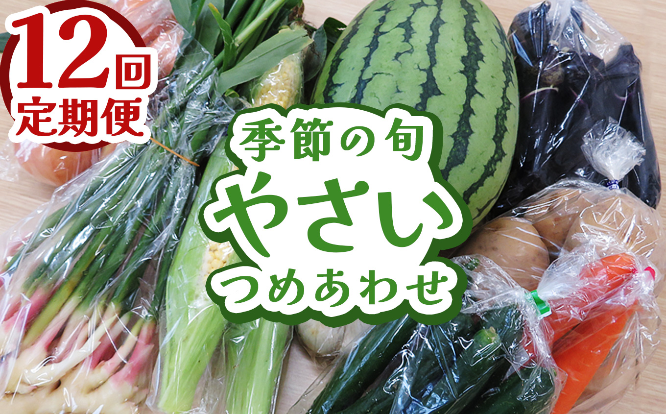 【定期便12回】下野市産 季節の旬野菜詰め合わせ | 旬野菜 詰め合わせ 野菜セット 地元野菜 栃木県産 新鮮野菜 産地直送 野菜通販 無農薬野菜 季節野菜 朝採れ野菜 地場野菜 お取り寄せ 下野市野菜 野菜詰合せ 有機野菜 地元農家 栃木野菜 栃木県 下野市