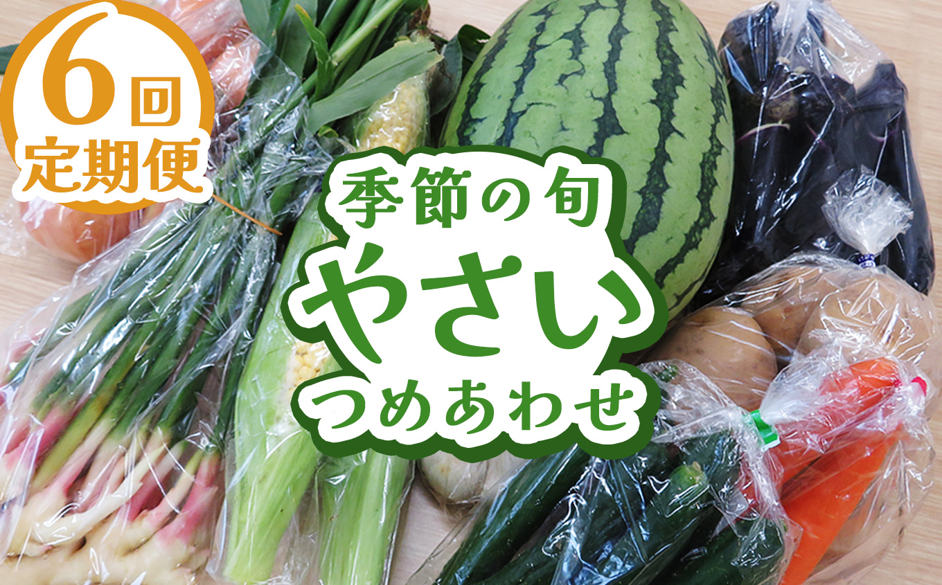 【定期便6回】下野市産 季節の旬野菜詰め合わせ | 旬野菜 詰め合わせ 野菜セット 地元野菜 栃木県産 新鮮野菜 産地直送 野菜通販 無農薬野菜 季節野菜 朝採れ野菜 地場野菜 お取り寄せ 下野市野菜 野菜詰合せ 有機野菜 地元農家 栃木野菜 栃木県 下野市