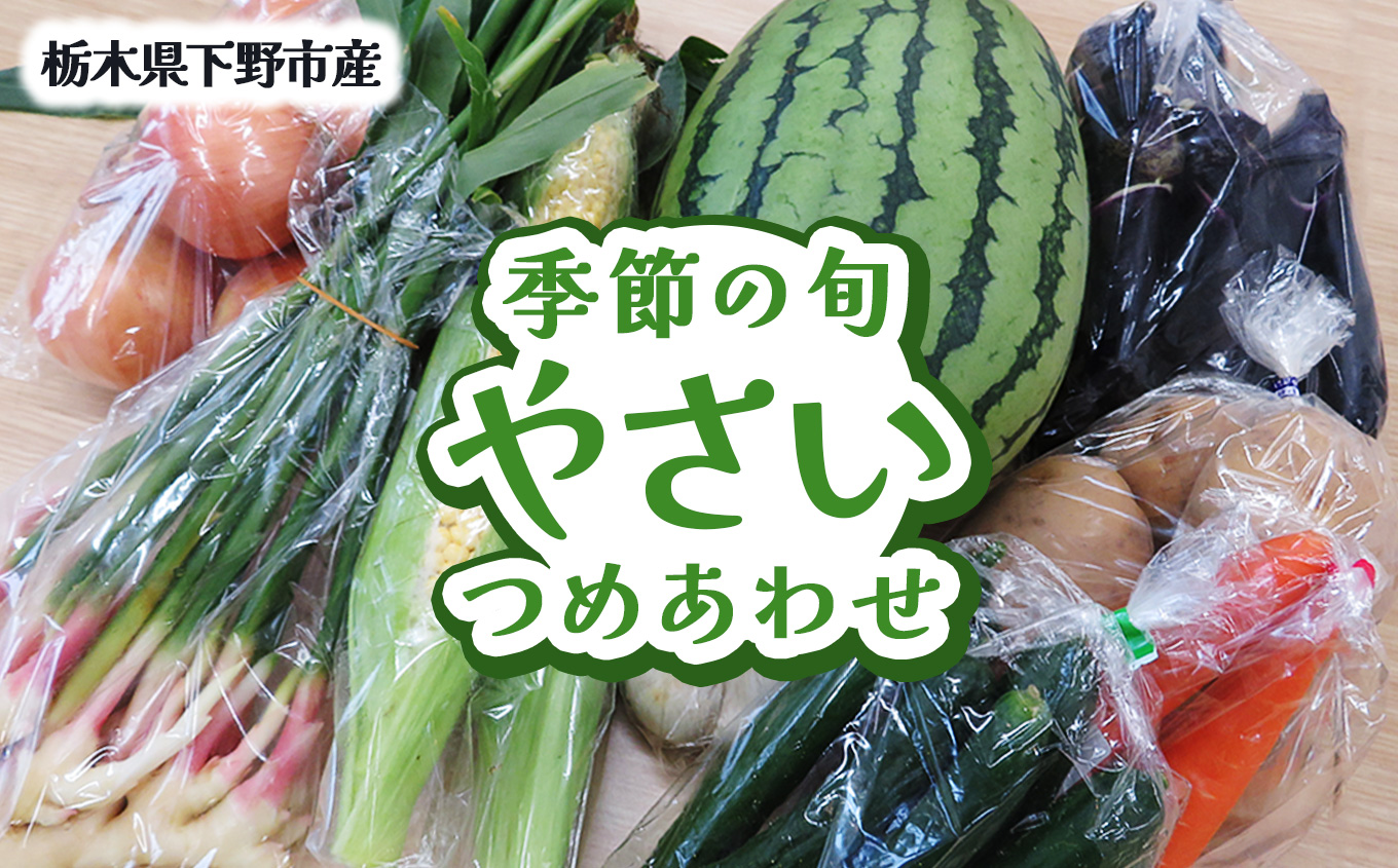 下野市産 季節の旬野菜詰め合わせ | 旬野菜 詰め合わせ 野菜セット 地元野菜 栃木県産 新鮮野菜 産地直送 野菜通販 無農薬野菜 季節野菜 朝採れ野菜 地場野菜 お取り寄せ 下野市野菜 野菜詰合せ 有機野菜 地元農家 栃木野菜 栃木県 下野市