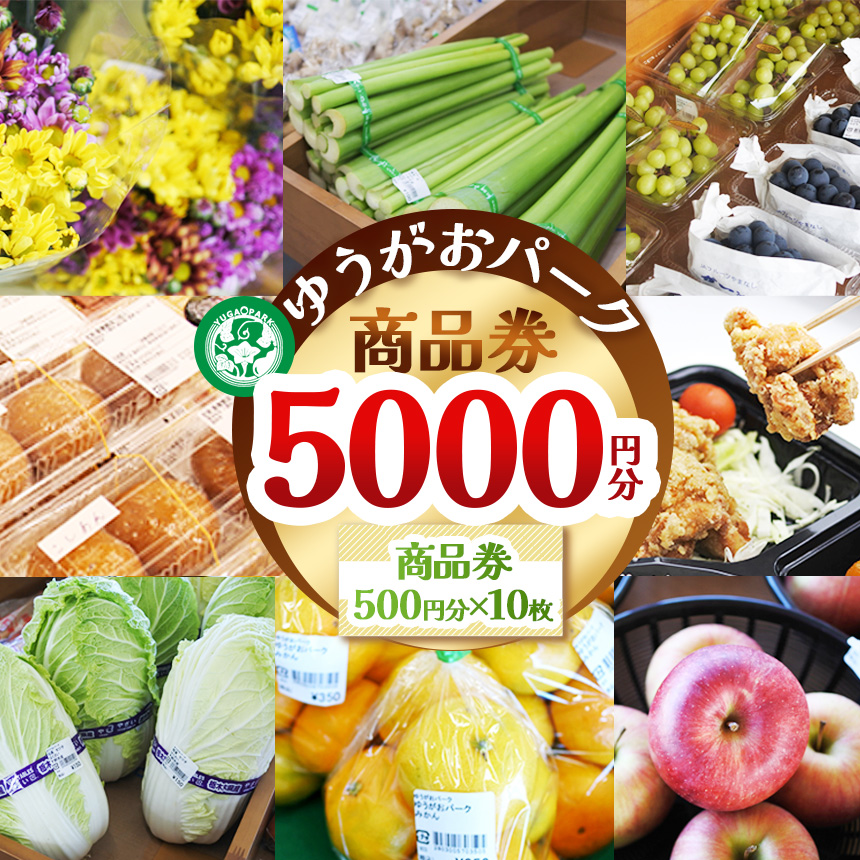 ゆうがおパーク商品券 5,000円分 | 商品券 農産物直売所 ギフト券 産直ギフト 地元野菜 地元応援 新鮮野菜 特産品 プレゼント 野菜直売所 お得券 農家 栃木県 下野市