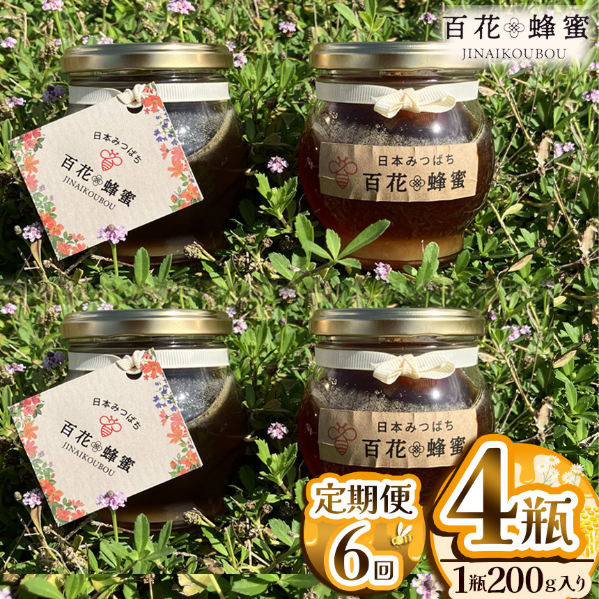 【ふるさと納税】【定期便6回】【数量限定】 日本蜜蜂の百花蜂蜜（200g入×4瓶） | はちみつ ハチミツ ミツバチ 濃厚 無添加  栃木県 下野市 送料無料