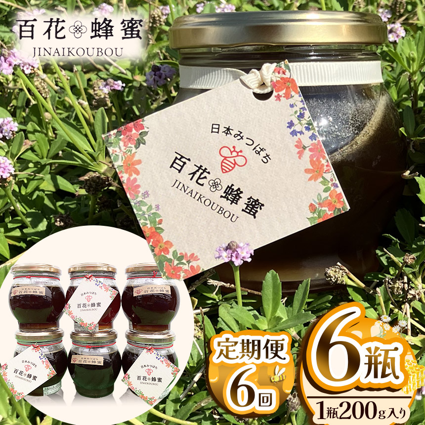 【ふるさと納税】【定期便6回】【数量限定】 日本蜜蜂の百花蜂蜜（200g入×6瓶） | はちみつ ハチミツ ミツバチ 濃厚 無添加  栃木県 下野市 送料無料