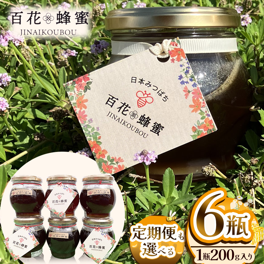 【ふるさと納税】【数量限定】 日本蜜蜂の百花蜂蜜（200g入×6瓶） | はちみつ ハチミツ ミツバチ 濃厚 無添加  栃木県 下野市 送料無料