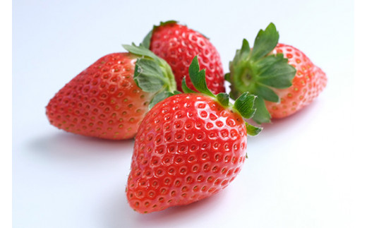 田口いちごファームの スカイベリー・とちあいかの食べ比べセット ｜ いちご 苺 イチゴ 栃木県産 ※2026年1月中旬～2月下旬頃に順次発送予定 ※北海道、沖縄、四国、九州、離島への配送不可