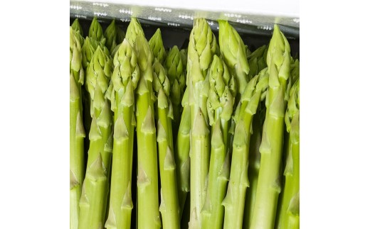 うえの農園の朝採りグリーンアスパラガス Lサイズ 1kg | 国産 栃木県産アスパラガス ※2025年6月より順次発送予定 ※離島への配送不可