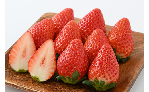 ＜先行予約＞ 鬼怒川の恵みをたっぷり受けた 栃木県上三川（かみのかわ）町産 スカイベリー【2パック】 いちご イチゴ 苺 スカイベリー ※2026年1月中旬～3月中旬頃に順次発送予定 ※離島への配送不可