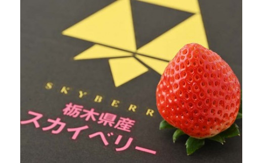 ＜先行予約＞ 鬼怒川の恵みをたっぷり受けた 栃木県上三川（かみのかわ）町産 スカイベリー とちあいか【イチゴセット】4パック（1箱）いちご イチゴ 苺 ※2025年1月中旬～3月下旬頃に順次発送予定 ※離島への配送不可