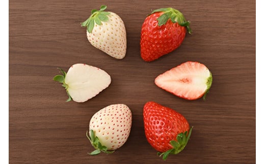 【定期便】栃木のいちご3ヶ月お届け 食べ比べセット（スカイベリー・とちあいか・ミルキーベリー）6パック×3回 ※2024年1月～3月頃に順次発送 ※離島への配送不可 ※着日指定不可