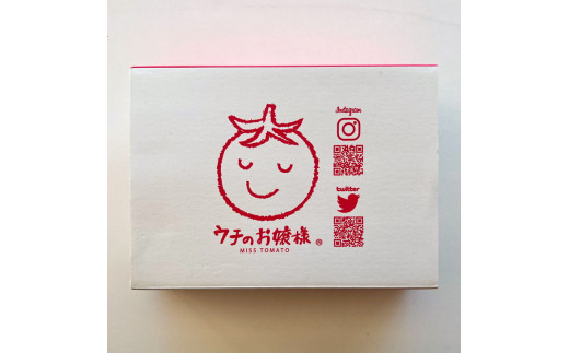 フルーツトマト　1キロ箱詰（正味800グラム程度）※2024年1月上旬～4月下旬頃に順次発送予定