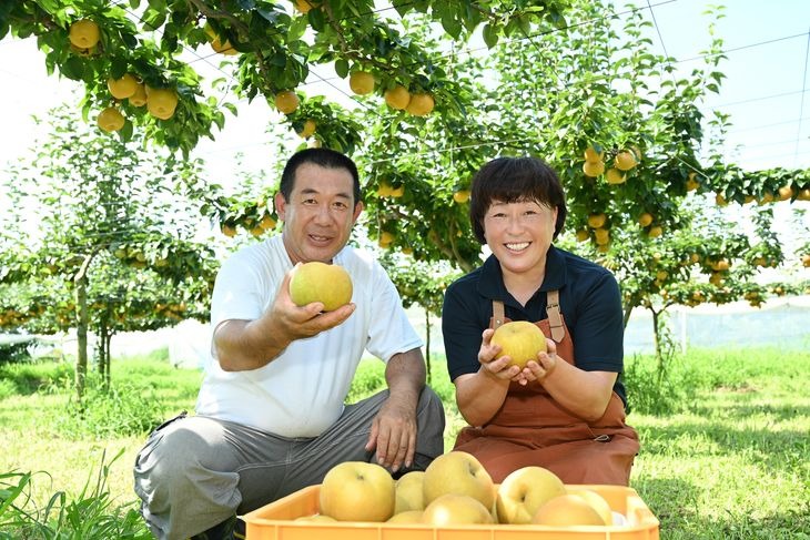 栃木県産梨「あきづき」 梨 なし 5kg ※北海道・沖縄・離島への配送不可 ※2025年9月下旬頃より順次発送予定