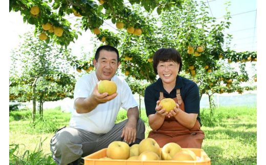 栃木県産梨「にっこり」 梨 なし 5kg ※北海道・沖縄・離島への配送不可 ※2024年10月中旬から順次発送予定