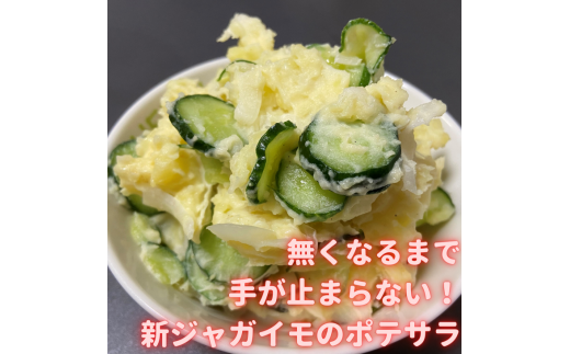 みんな大好きトウモロコシと旬は今！の野菜たち【栃木県産おまかせ新鮮野菜セット・いろいろ詰め合わせ】｜ にんじん オクラ きゅうり じゃがいも トマト 玉ねぎ 大根 枝豆…　※2022年6月～8月頃に順次発送予定