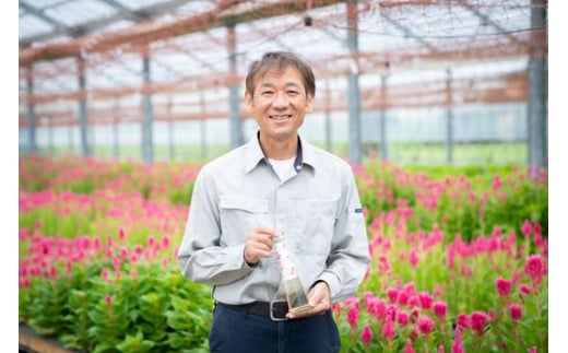 香る時を閉じ込めた！　スイートピーの香るリキュール