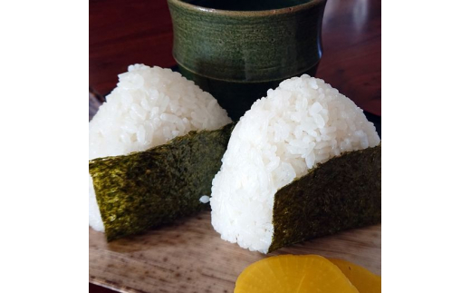 [令和6年度産]栃木県上三川町産コシヒカリ・白米 (10kg×2袋) ◆ | 国産 栃木県産 コシヒカリ 米 お米 単一原料米 精米 白米 栃木米 とちぎ米 産地直送 送料無料