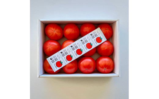 フルーツトマト　1キロ箱詰（正味800グラム程度）※2024年1月上旬～4月下旬頃に順次発送予定
