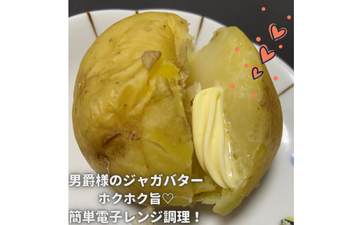 みんな大好きトウモロコシと旬は今！の野菜たち【栃木県産おまかせ新鮮野菜セット・いろいろ詰め合わせ】｜ にんじん オクラ きゅうり じゃがいも トマト 玉ねぎ 大根 枝豆…　※2022年6月～8月頃に順次発送予定