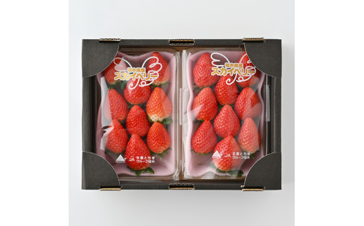 ＜先行予約＞ 鬼怒川の恵みをたっぷり受けた 栃木県上三川（かみのかわ）町産 スカイベリー とちあいか【イチゴセット】4パック（1箱）いちご イチゴ 苺 ※2025年1月中旬～3月下旬頃に順次発送予定 ※離島への配送不可