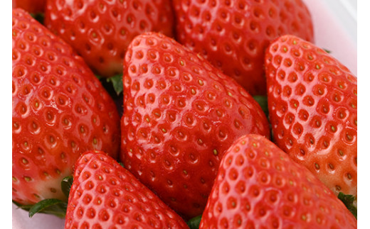 【定期便】栃木のいちご3ヶ月お届け（スカイベリー・とちあいか・ミルキーベリー）2パック×3回 ※2024年1月～3月頃に順次発送 ※離島への配送不可 ※着日指定不可