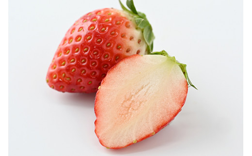 とちおとめ いちご イチゴ 苺 大賞受賞 4パック