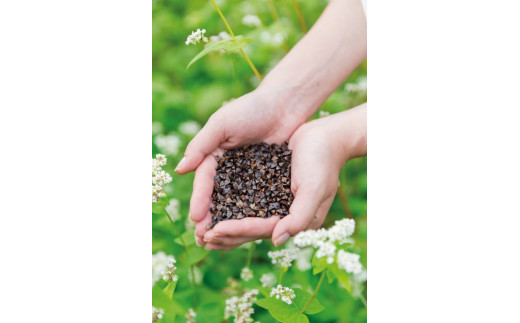 国産高級そば粉 栃木県産そば粉（1kg×2＝2kg）