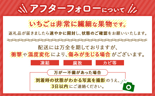 ＜先行予約＞ 鬼怒川の恵みをたっぷり受けた　栃木県上三川（かみのかわ）町産 ミルキーベリー（白いちご）【2パック】 いちご イチゴ 苺 白いちご 白イチゴ 白苺 ミルキーベリー ※2026年1月中旬～3月中旬頃に順次発送予定 ※離島への配送不可