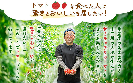 ぜいたくトマト 約1.7kg