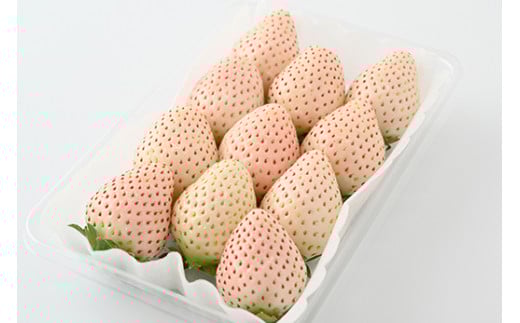 ＜先行予約＞ 鬼怒川の恵みをたっぷり受けた　栃木県上三川（かみのかわ）町産 ミルキーベリー（白いちご）【2パック】 いちご イチゴ 苺 白いちご 白イチゴ 白苺 ミルキーベリー ※2026年1月中旬～3月中旬頃に順次発送予定 ※離島への配送不可