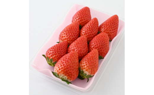 ＜先行予約＞ 鬼怒川の恵みをたっぷり受けた 栃木県上三川（かみのかわ）町産 スカイベリー【4パック】 いちご イチゴ 苺 スカイベリー ※2025年1月中旬～3月中旬頃に順次発送予定 ※離島への配送不可