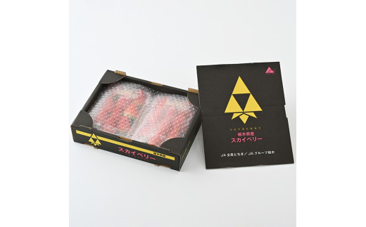 ＜先行予約＞ 鬼怒川の恵みをたっぷり受けた 栃木県上三川（かみのかわ）町産 スカイベリー とちあいか【イチゴセット】4パック（1箱）いちご イチゴ 苺 ※2025年1月中旬～3月下旬頃に順次発送予定 ※離島への配送不可
