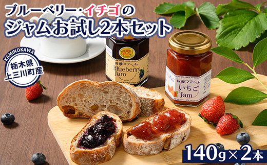 ブルーベリー、イチゴのジャム お試し2本セット　※離島への配送不可